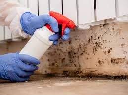 Best Asbestos and Lead Testing During Mold Inspection  in Adelanto, CA